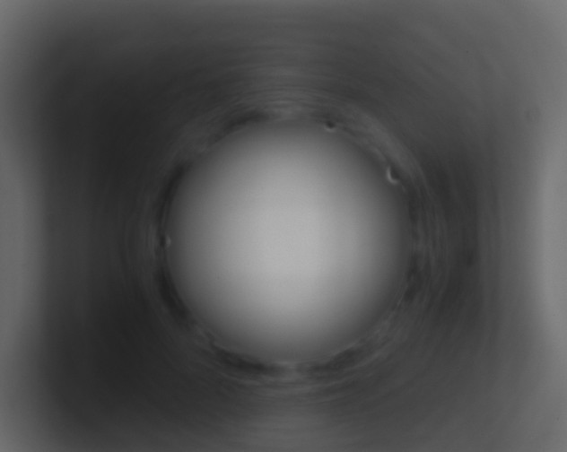 X0000101430696200807071005