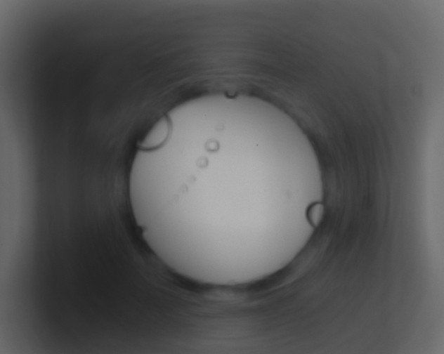 X0000101430699200807071005