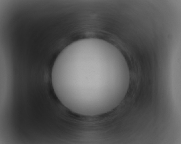 X0000101430702200807071005