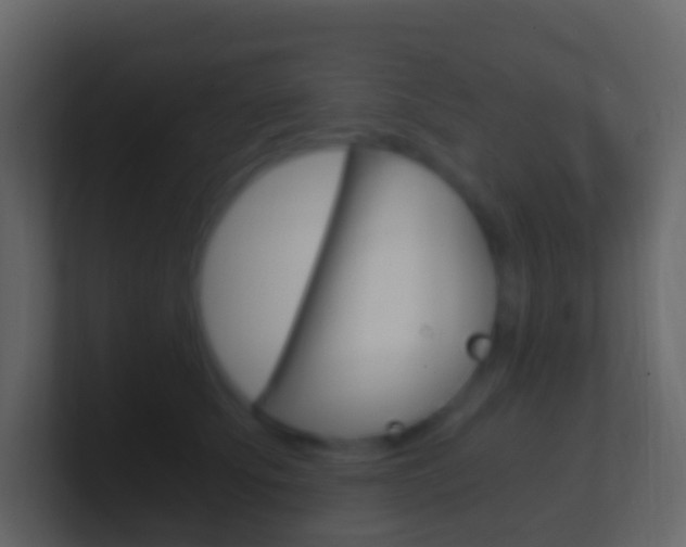 X0000101430707200807071005