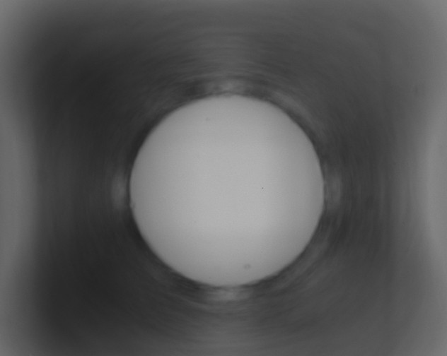 X0000101430709200807071005
