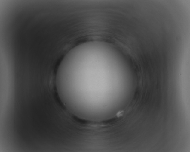 X0000101430712200807071005