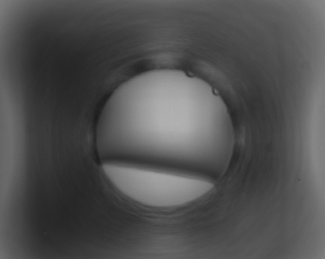 X0000101430715200807071005