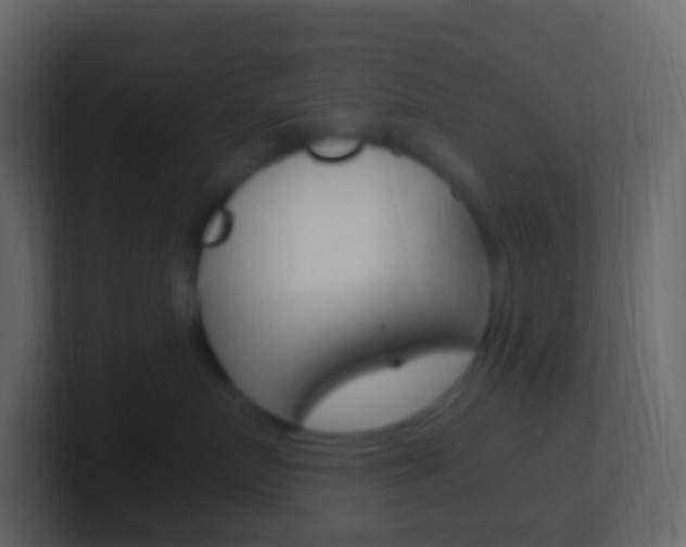 X0000101430719200807071005