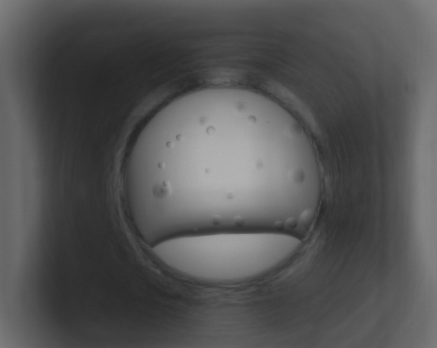 X0000101430721200807071004