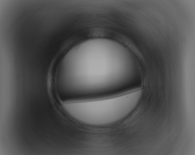 X0000101430722200807071004