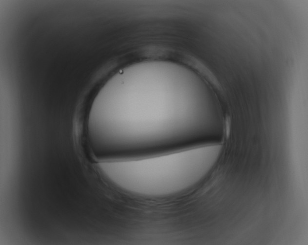 X0000101430723200807071005