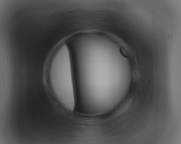 X0000101430724200807071005