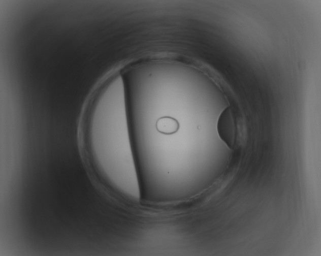 X0000101430726200807071005