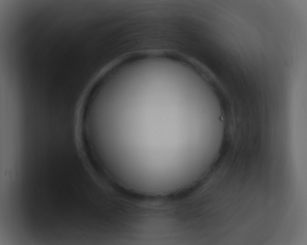 X0000101430728200807071005