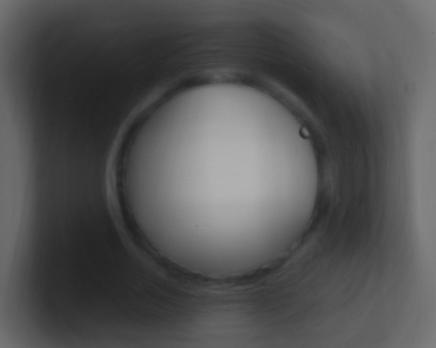 X0000101430730200807071005