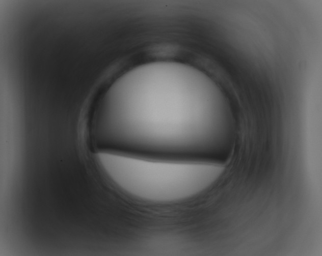 X0000101430731200807071005