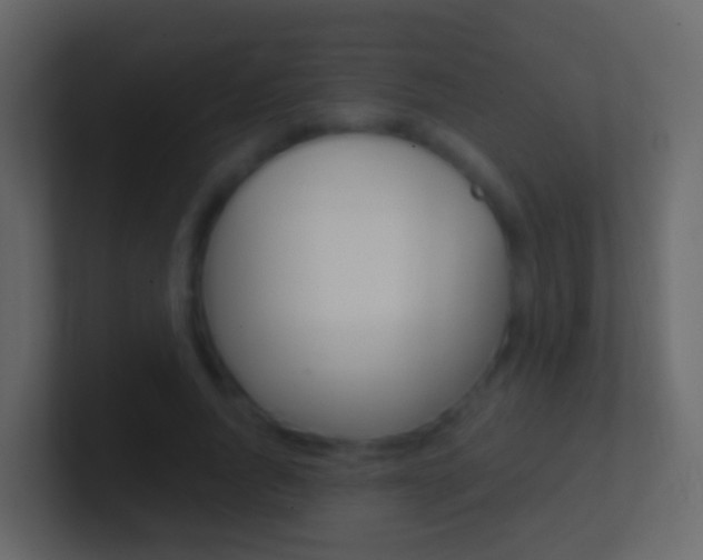 X0000101430736200807071005