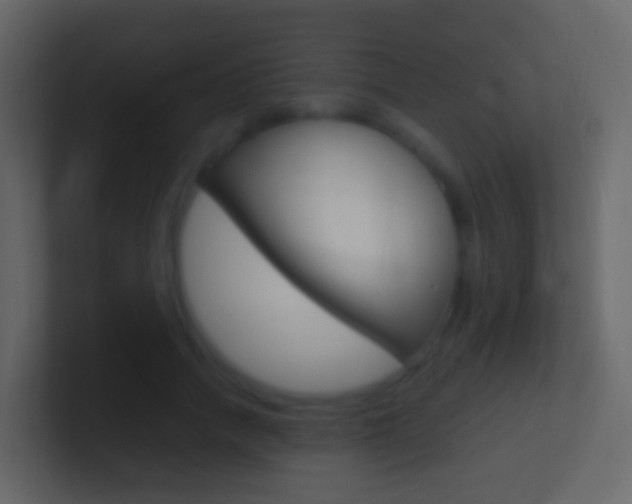 X0000101430738200807071005