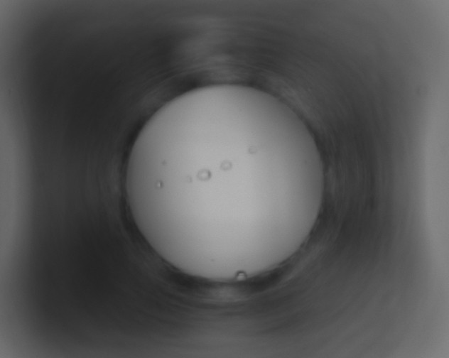 X0000101430741200807071005