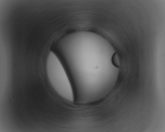 X0000101430742200807071005