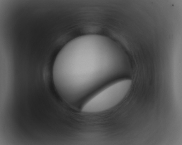 X0000101430743200807071005