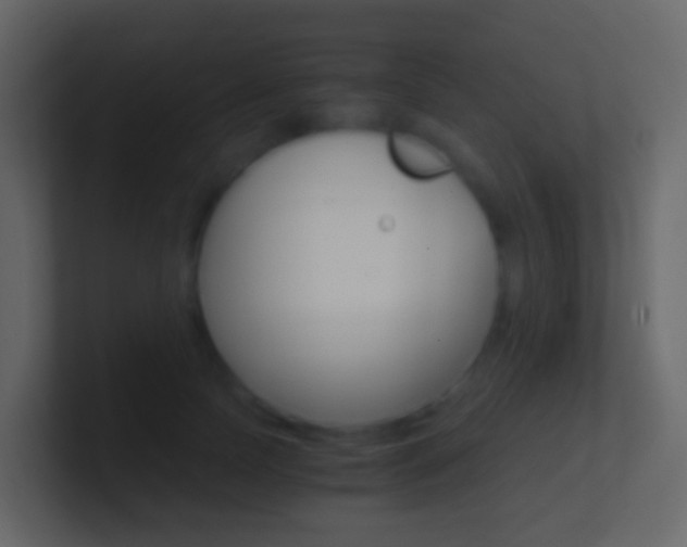 X0000101430745200807071005