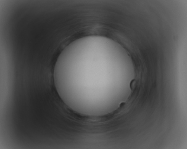 X0000101430749200807071005