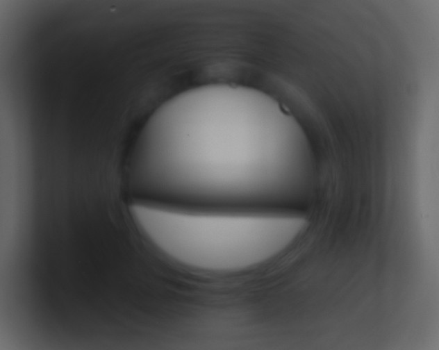 X0000101430751200807071005