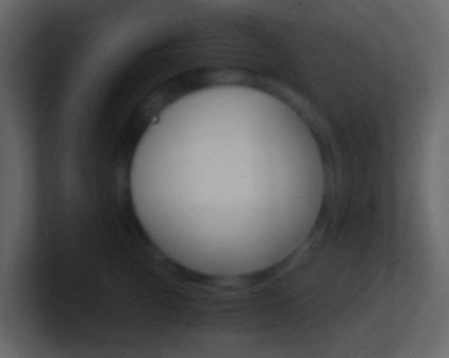 X0000101430761200807071005