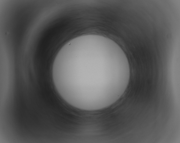 X0000101430762200807071005