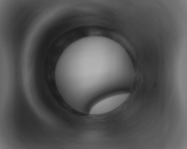 X0000101430763200807071005