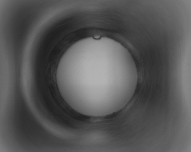 X0000101430764200807071005