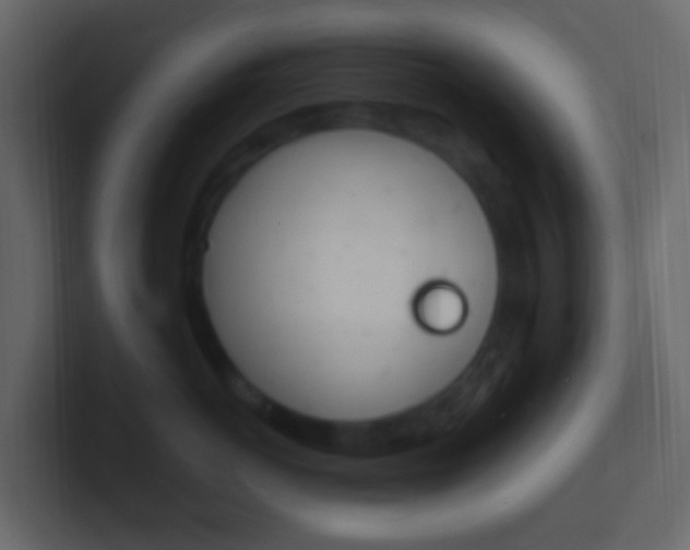 X0000101430766200807071005