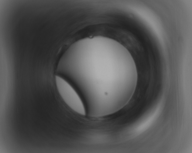 X0000101430767200807071005