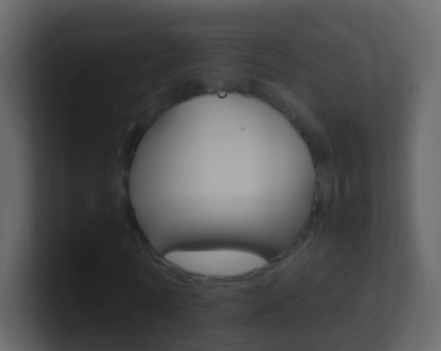 X0000101430770200807071004