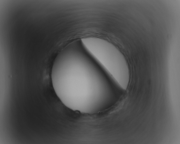 X0000101430771200807071004