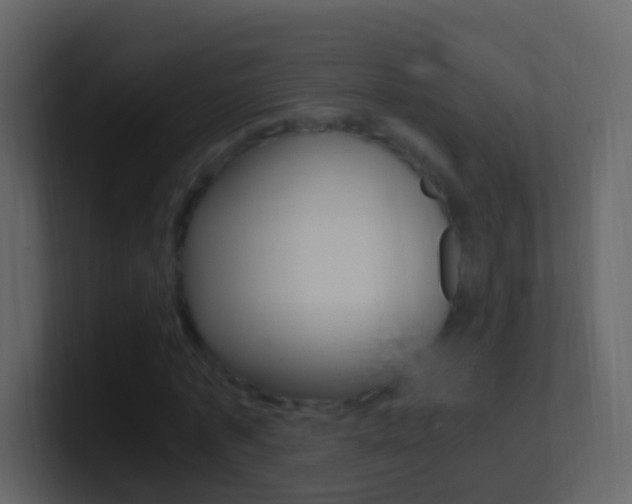 X0000101430773200807071004
