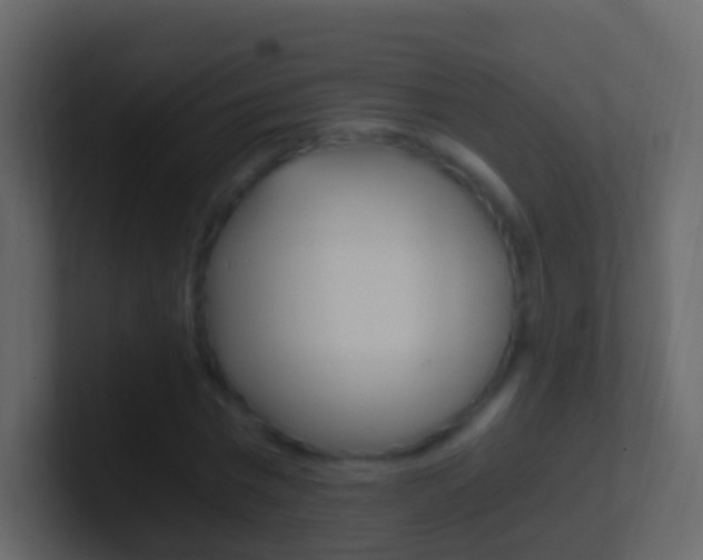 X0000101430777200807071004