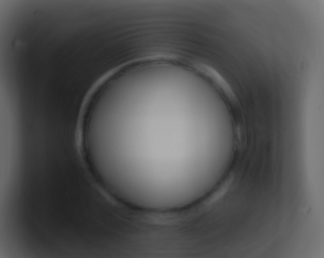 X0000101430780200807071004