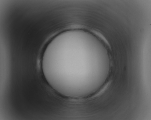 X0000101430781200807071004