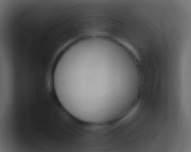 X0000101430782200807071004