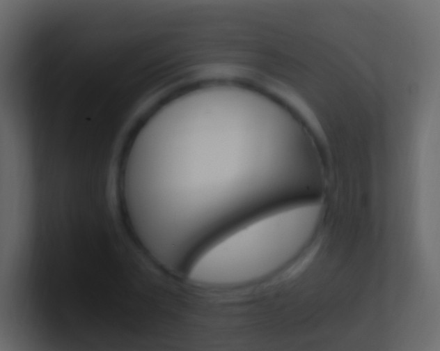 X0000101430783200807071004
