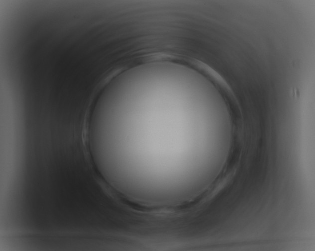 X0000101430793200807071004