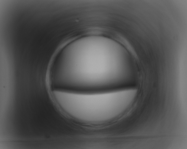 X0000101430795200807071004