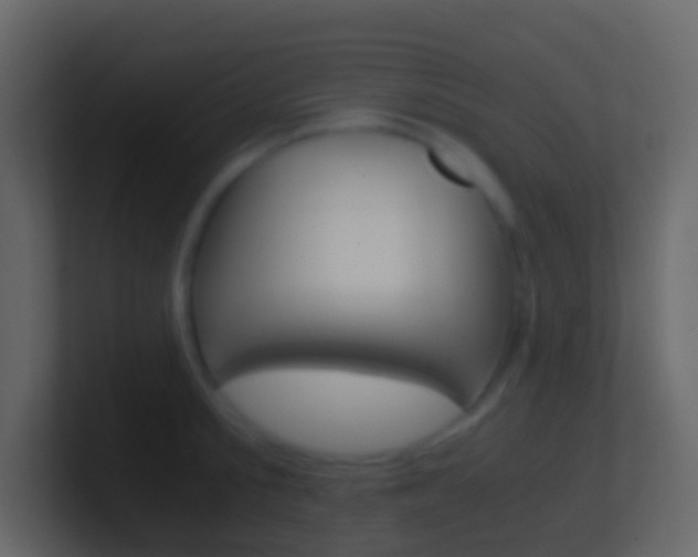 X0000101430805200807071004