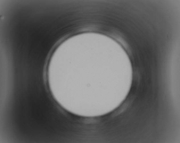 X0000101430807200807071004