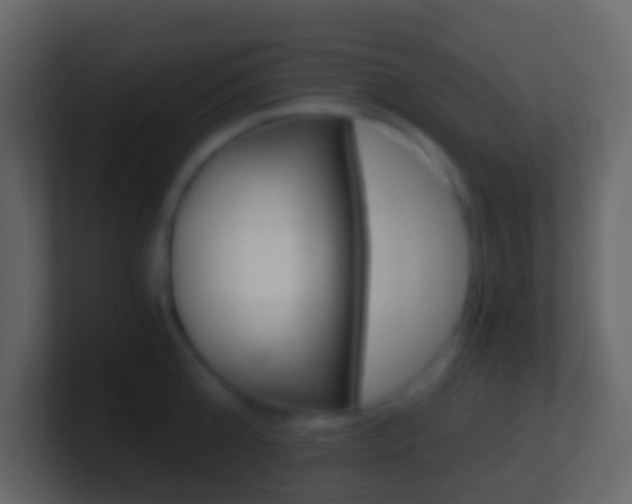 X0000101430808200807071004