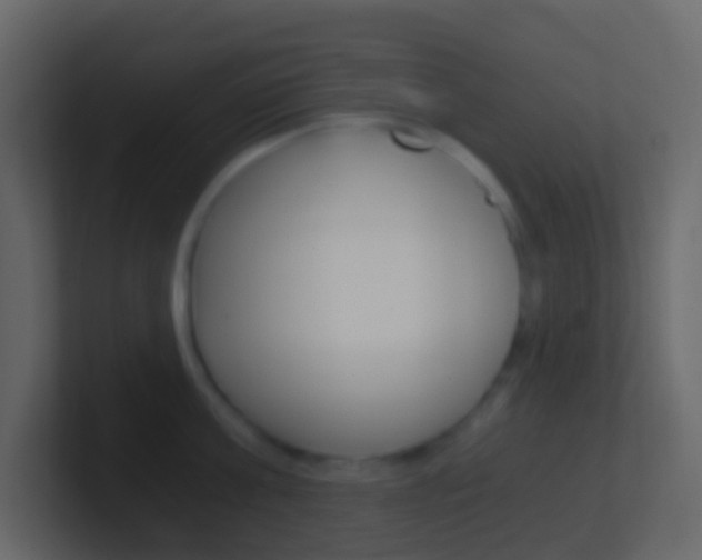 X0000101430811200807071004