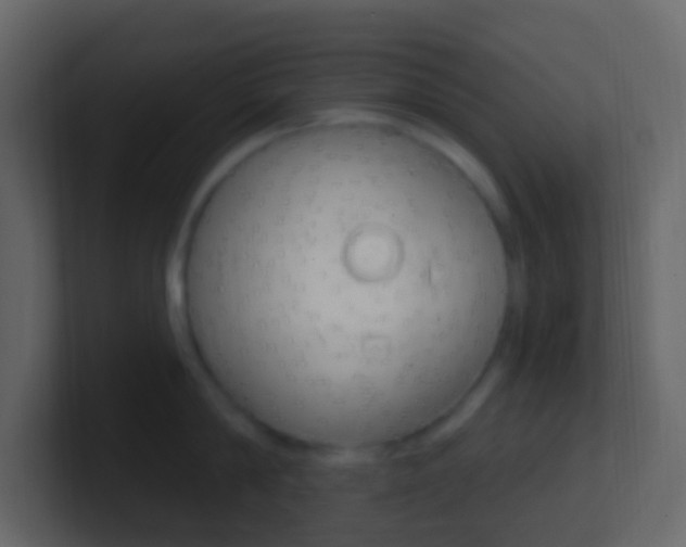 X0000101430814200807071004