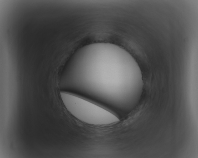 X0000101430817200807071003