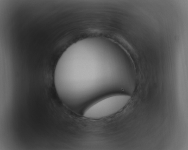 X0000101430821200807071003