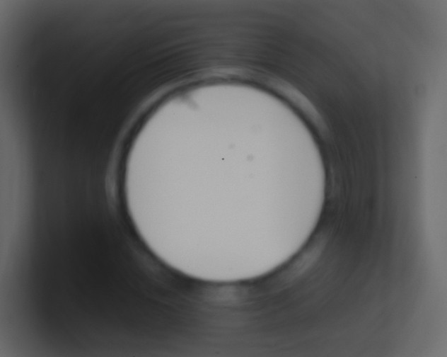 X0000101430828200807071003