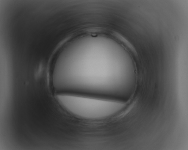 X0000101430829200807071003