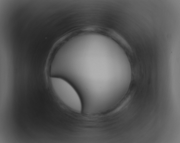 X0000101430831200807071003